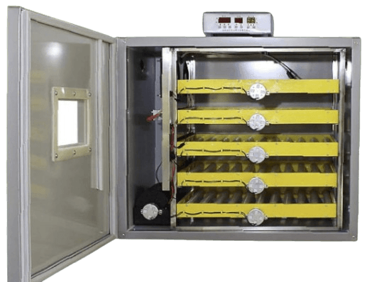 Inkubator - 300 vezë (Industrial)