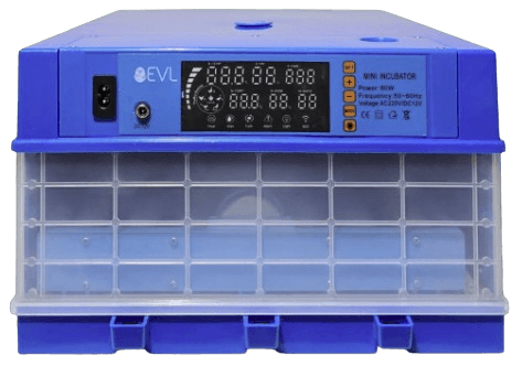 Inkubator - 36 vezë